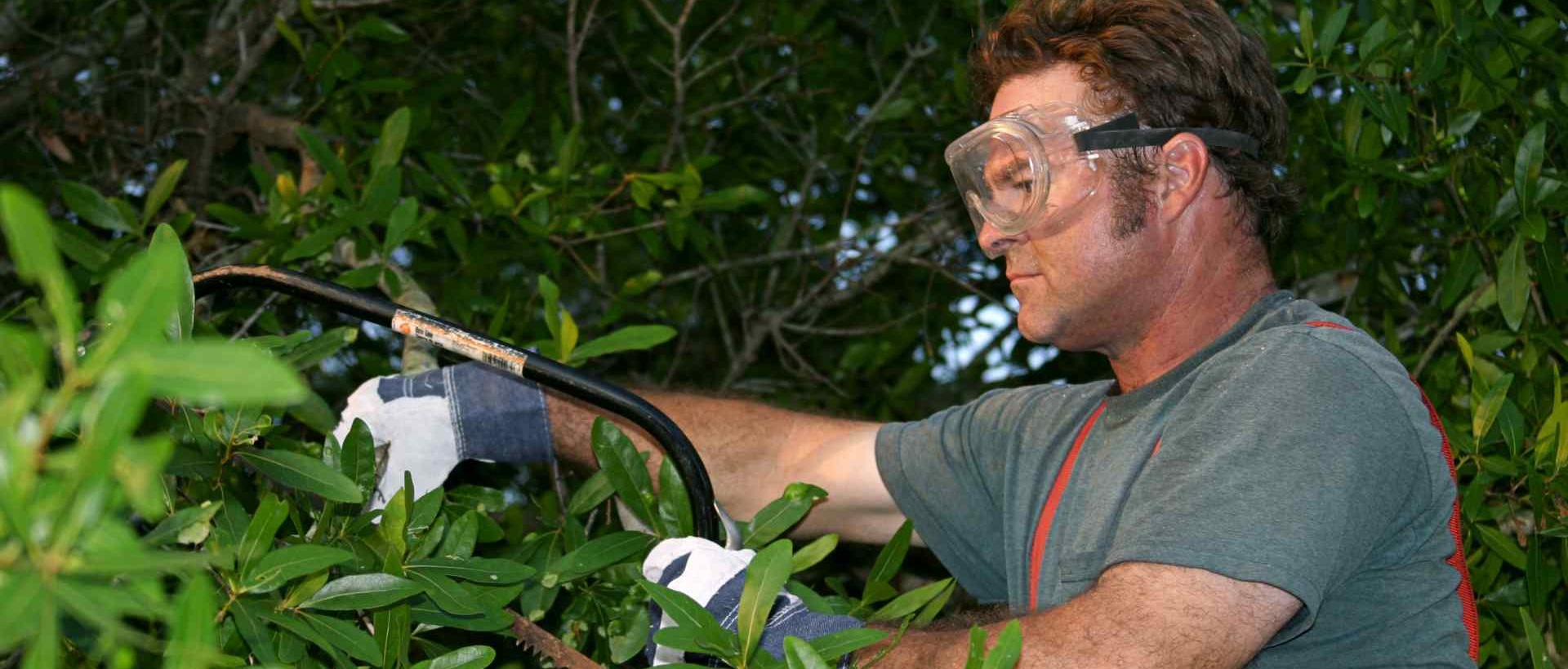 garden clearance UB3, UB4
