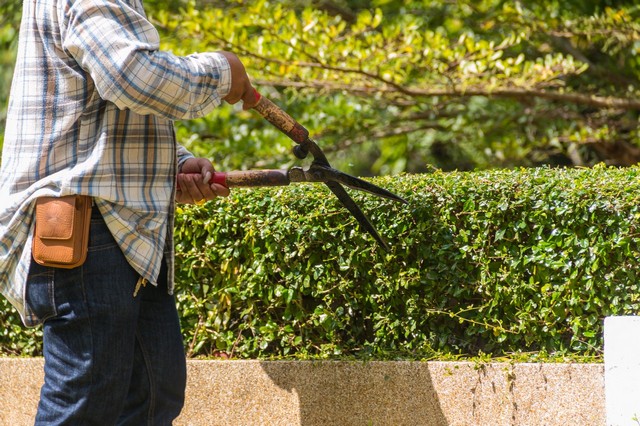 Garden Maintenance Hayes, Harlington, UB3, UB4